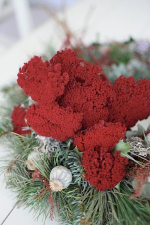 Schafgarbe weinrot gefärbt und konserviert. Trockenblumen im Mrs Greenery Shop bestellen