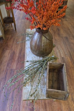 flechtenzweige flechten zweig naturdeko winterdeko weihnachtsdeko im mrs greenery shop bestellen kaufen naturzweige