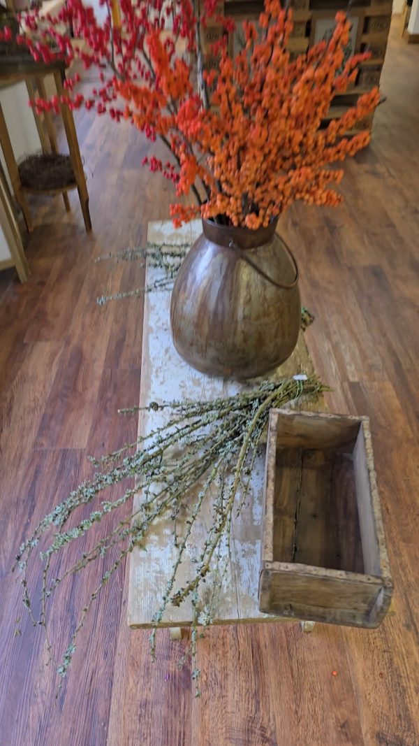 flechtenzweige flechten zweig naturdeko winterdeko weihnachtsdeko im mrs greenery shop bestellen kaufen naturzweige