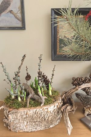 pflanzschale topf dekoschale birke naturdeko wasserdicht dekotopf im mrs greenery shop bestellen kaufen