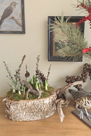 pflanzschale topf dekoschale birke naturdeko wasserdicht dekotopf im mrs greenery shop bestellen kaufen