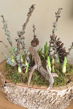 pflanzschale topf dekoschale birke naturdeko wasserdicht dekotopf im mrs greenery shop bestellen kaufen