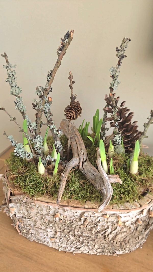 pflanzschale topf dekoschale birke naturdeko wasserdicht dekotopf im mrs greenery shop bestellen kaufen