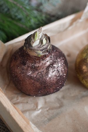 Amaryllis gewachst Wachs glitzer gold kupfer schwarz im Mrs Greenery Shop bestellen