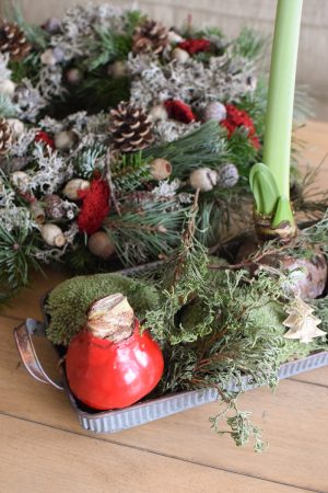 Amaryllis gewachst Wachs rot im Mrs Greenery Shop bestellen