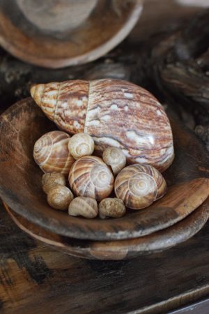 Antike Holzschale Mini klein Dekoschale Holz Naturdeko im Mrs Greenery Shop bestellen