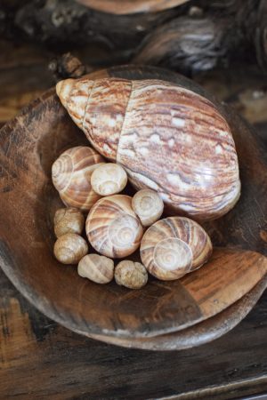 Antike Holzschale Mini klein Dekoschale Holz Naturdeko im Mrs Greenery Shop bestellen
