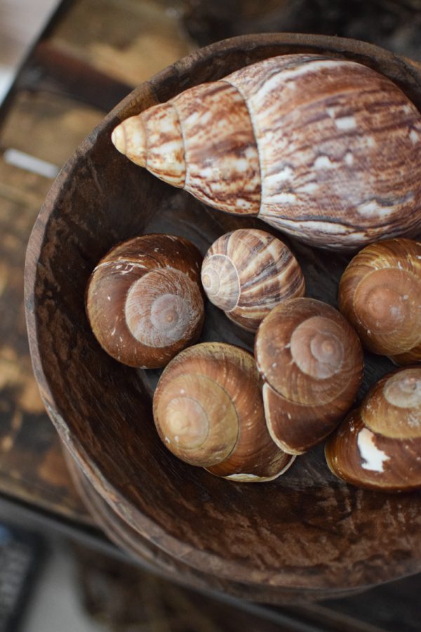 Antike Holzschale Mini klein Dekoschale Holz Naturdeko im Mrs Greenery Shop bestellen