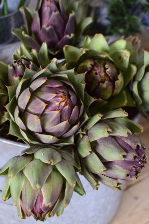 Frische Artischocke für deine Naturdeko Ideen. Ideal für Kränze, Sträuße oder als Solität. Einfach und schnell mit Naturmaterialien Kreativsein, Gestalten, Basteln