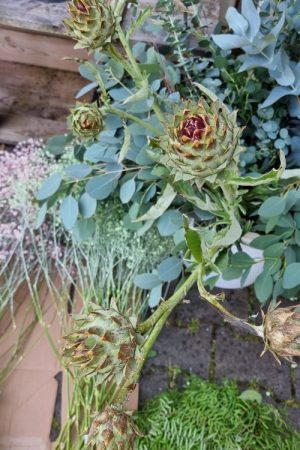Artischocken Artischockenast Artischockenblüte frisch im Mrs Greenery Shop bestellen kaufen