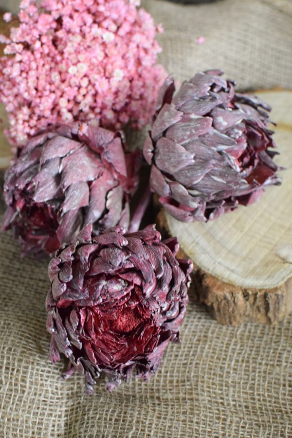 Artischocke getrocknet brombeer Trockenblumen Artischocken trocken trocknen Naturdeko Deoidee