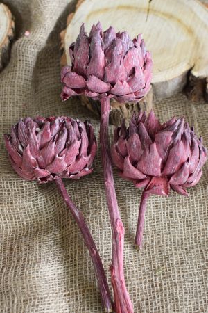 Artischocke getrocknet brombeer Trockenblumen Artischocken trocken trocknen Naturdeko Deoidee