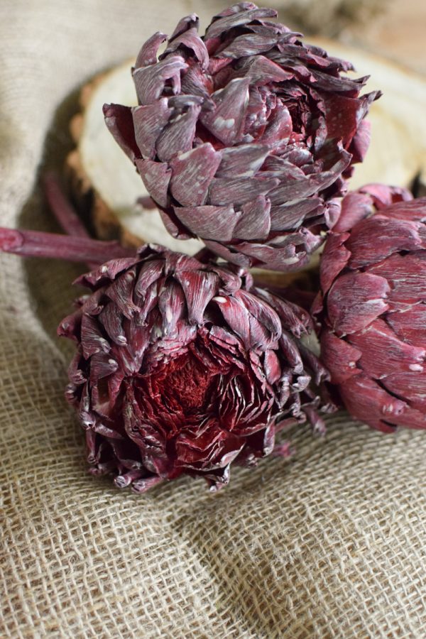 Artischocke getrocknet brombeer Trockenblumen Artischocken trocken trocknen Naturdeko Deoidee