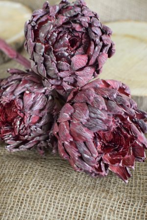 Artischocke getrocknet brombeer Trockenblumen Artischocken trocken trocknen Naturdeko Deoidee