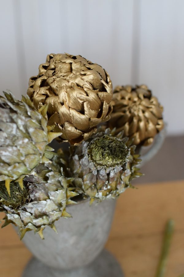 Artischocke getrocknet grün goldig Trockenblumen Artischocken trocken