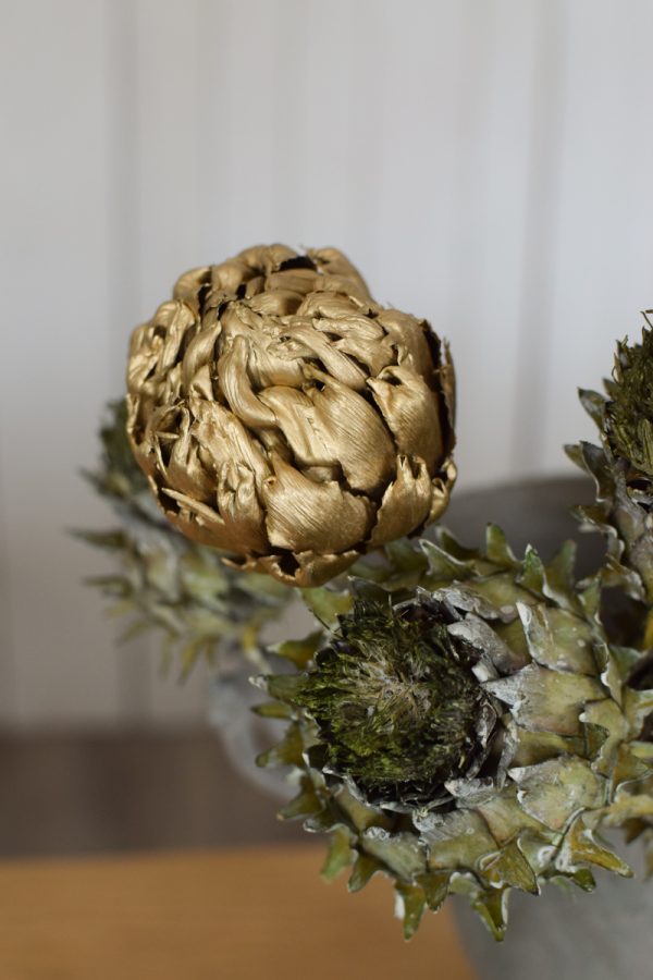 Artischocke getrocknet grün goldig Trockenblumen Artischocken trocken