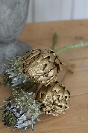 Artischocke getrocknet grün goldig Trockenblumen Artischocken trocken