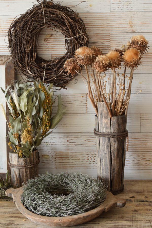 Artischockenblüte getrocknet. Artischocke Trockenblume Naturdeko Kreativ jetzt im Mrs Greenery Shop bestellen kaufen