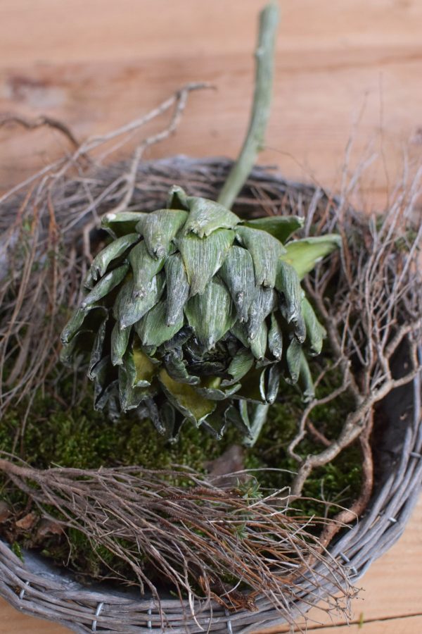 Artischocke getrocknet. Trockenblumen perfekt für deine Naturdeko. Natürlich dekorieren.