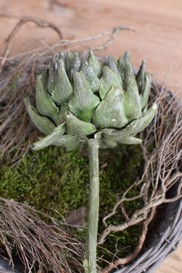 Artischocke getrocknet. Trockenblumen perfekt für deine Naturdeko. Natürlich dekorieren.