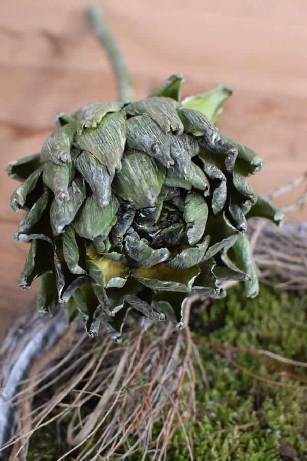Artischocke getrocknet. Trockenblumen perfekt für deine Naturdeko. Natürlich dekorieren.