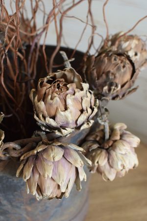 Artischocke getrocknet natur Trockenblumen Artischocken trocken trocknen Naturdeko Deoidee Artischockenköpfe