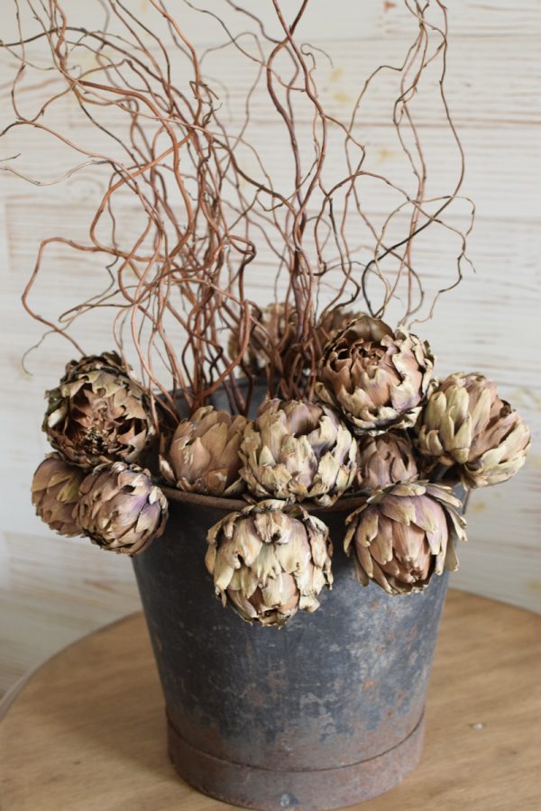 Artischocke getrocknet natur Trockenblumen Artischocken trocken trocknen Naturdeko Deoidee Artischockenköpfe