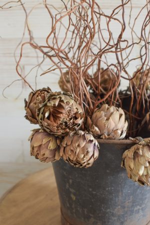 Artischocke getrocknet natur Trockenblumen Artischocken trocken trocknen Naturdeko Deoidee Artischockenköpfe