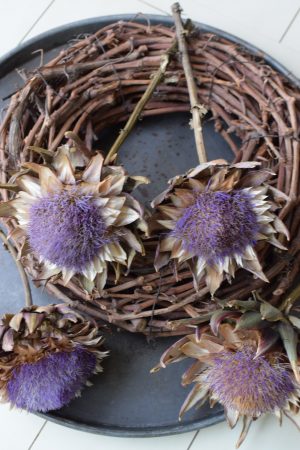 Artischockenblüte getrocknet. Artischocke Trockenblume Naturdeko im Mrs Greenery Shop kaufen bestellen