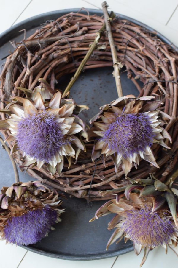 Artischockenblüte getrocknet. Artischocke Trockenblume Naturdeko im Mrs Greenery Shop kaufen bestellen