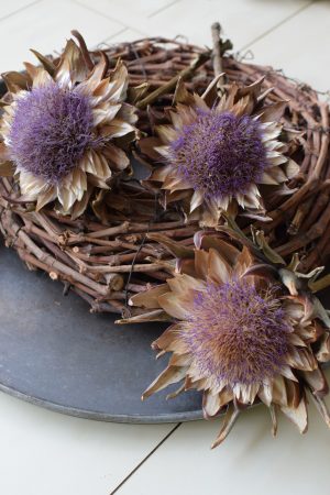 Artischockenblüte getrocknet. Artischocke Trockenblume Naturdeko im Mrs Greenery Shop kaufen bestellen