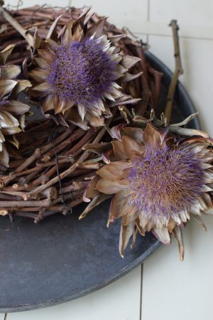 Artischockenblüte getrocknet. Artischocke Trockenblume Naturdeko im Mrs Greenery Shop kaufen bestellen