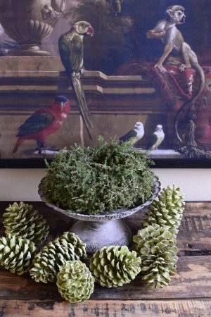 Asparagus Kranz 24 cm Fertig gebunden Fertigkranz Kranz Kränze Herbstkranz Weihnachtskranz im Mrs Greenery Shop bestellen