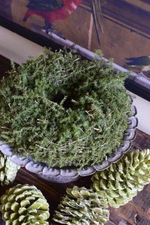 Asparagus Kranz 24 cm Fertig gebunden Fertigkranz Kranz Kränze Herbstkranz Weihnachtskranz im Mrs Greenery Shop bestellen