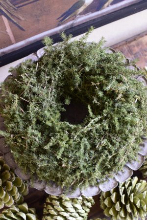 Asparagus Kranz 24 cm Fertig gebunden Fertigkranz Kranz Kränze Herbstkranz Weihnachtskranz im Mrs Greenery Shop bestellen