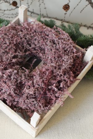 Asparagus Kranz gewachst rot asparaguskranz trockenblumen kranz kränze im Mrs Greenery Shop bestellen