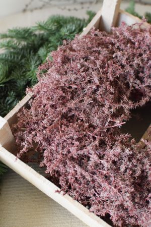 Asparagus Kranz gewachst rot asparaguskranz trockenblumen kranz kränze im Mrs Greenery Shop bestellen