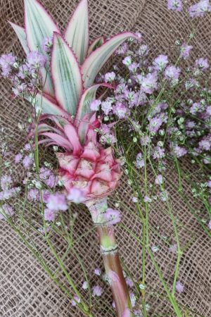 baby ananas mini dekoananas sommerdeko pink deko mit naturmaterial rosa dekofrucht im Mrs Greenery Shop