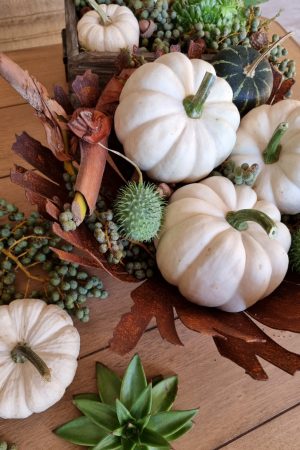 Kürbis Baby Boo Casperita Zierkürbis Herbstdeko Deko herbstlich dekorieren Kürbis weiß im Mrs Greenery Shop bestellen kaufen