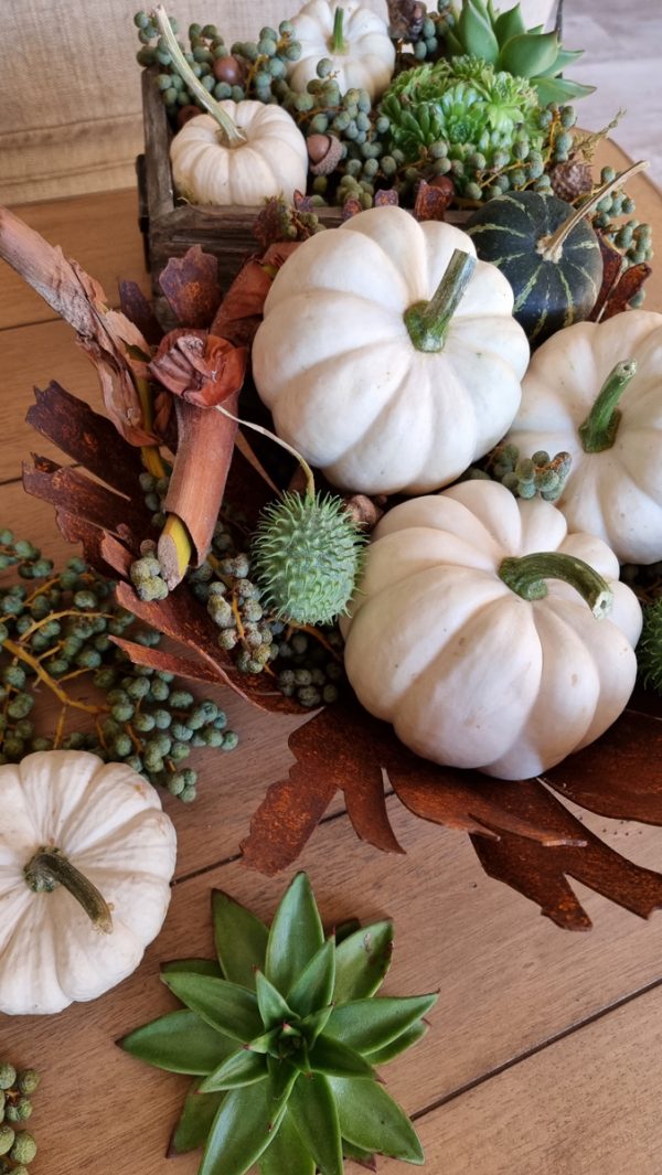 Kürbis Baby Boo Casperita Zierkürbis Herbstdeko Deko herbstlich dekorieren Kürbis weiß im Mrs Greenery Shop bestellen kaufen