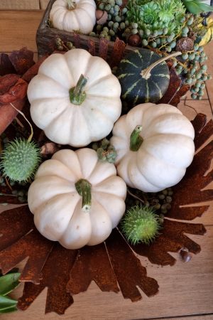 Kürbis Baby Boo Casperita Zierkürbis Herbstdeko Deko herbstlich dekorieren Kürbis weiß im Mrs Greenery Shop bestellen kaufen