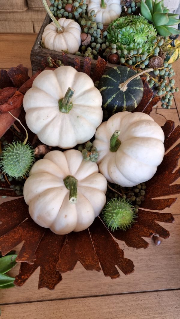 Kürbis Baby Boo Casperita Zierkürbis Herbstdeko Deko herbstlich dekorieren Kürbis weiß im Mrs Greenery Shop bestellen kaufen