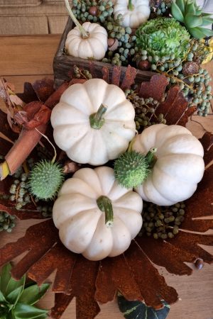 Kürbis Baby Boo Casperita Zierkürbis Herbstdeko Deko herbstlich dekorieren Kürbis weiß im Mrs Greenery Shop bestellen kaufen