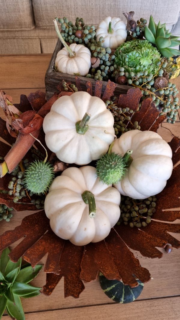 Kürbis Baby Boo Casperita Zierkürbis Herbstdeko Deko herbstlich dekorieren Kürbis weiß im Mrs Greenery Shop bestellen kaufen