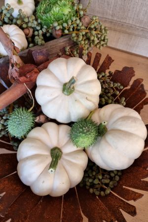 Kürbis Baby Boo Casperita Zierkürbis Herbstdeko Deko herbstlich dekorieren Kürbis weiß im Mrs Greenery Shop bestellen kaufen
