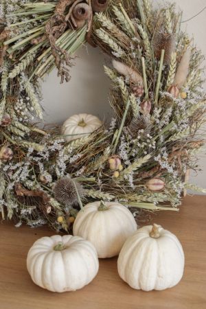 Herbstdeko mit weissen Mini Kürbissen Baby Boo. Der Klassiker der Herbstdeko. Jetzt besellen! Kürbis klein weiss