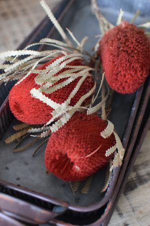 Banksia rot getrocknet Trockenblumen Naturdeko Deko aus dem Mrs Greenery Shop