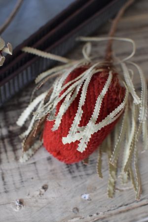 Banksia rot getrocknet Trockenblumen Naturdeko Deko aus dem Mrs Greenery Shop