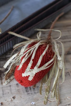 Banksia rot getrocknet Trockenblumen Naturdeko Deko aus dem Mrs Greenery Shop