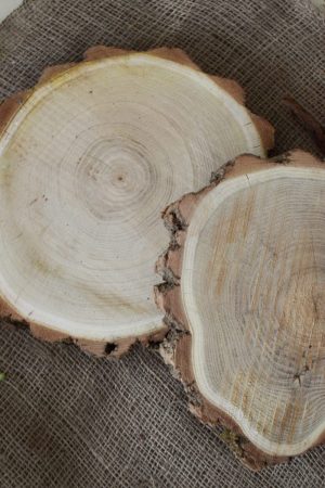 Baumscheibe Akazie Naturdeko Kreativsein Basteln Dekoidee